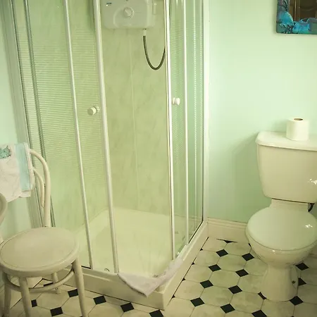 فندق مبيت وإفطار The Well Meadow 4*