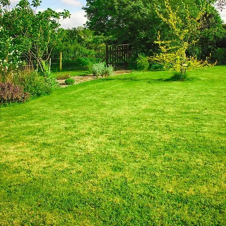 The Well Meadow