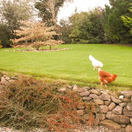 The Well Meadow فندق مبيت وإفطار نيناغ