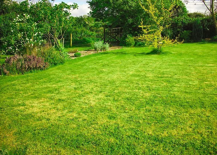The Well Meadow