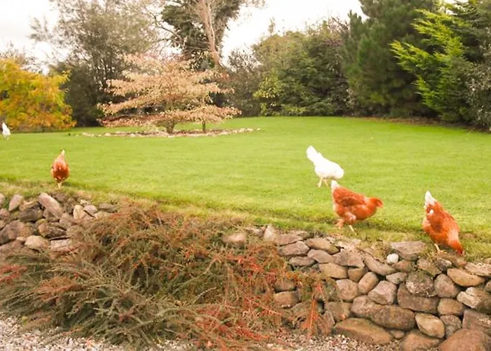 The Well Meadow Bed & Breakfast Nenagh